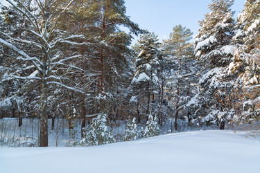 Similar image 21695979