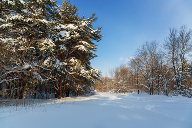 Similar image 21695980