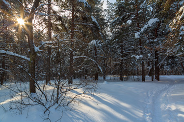 Similar image 21695981