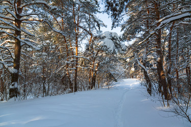 Similar image 21695982