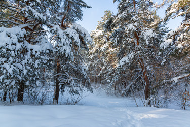 Similar image 21695983