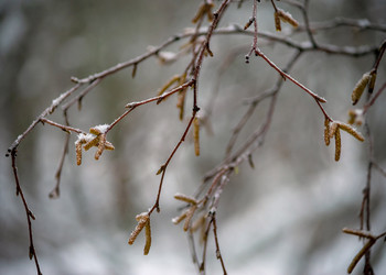 Similar image 21695801