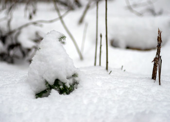 Similar image 21695802