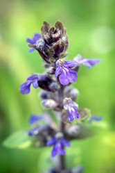 Similar image 21695803