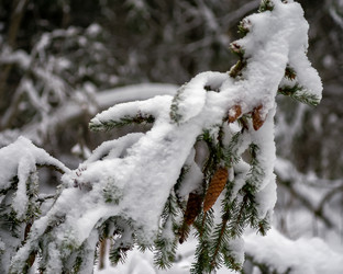 Similar image 21695805