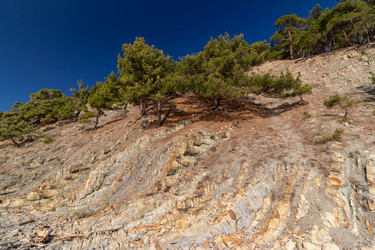 Similar image 21695812