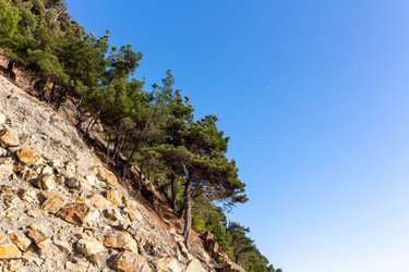 Similar image 21695815