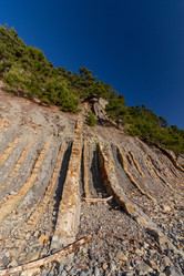 Similar image 21695816