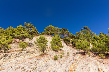 Similar image 21695819