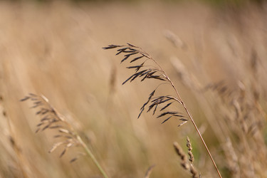 Similar image 21695984