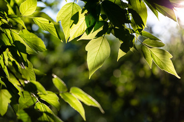 Similar image 21695986