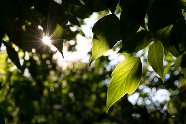 Similar image 21695987