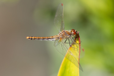 Similar image 21695988