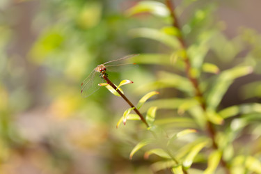 Similar image 21695990