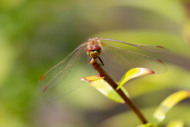 Similar image 21695991