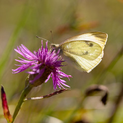 Similar image 21695993