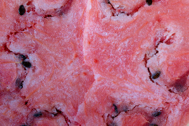 Similar image 21696326