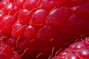 Similar image 21696327