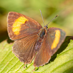 Similar image 21696328