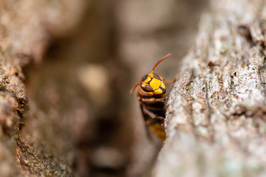 Similar image 21696329