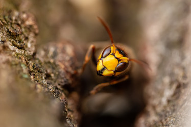 Similar image 21696330