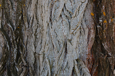 Similar image 21696331