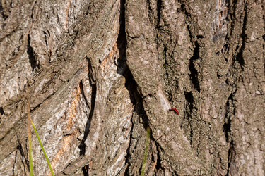 Similar image 21696332