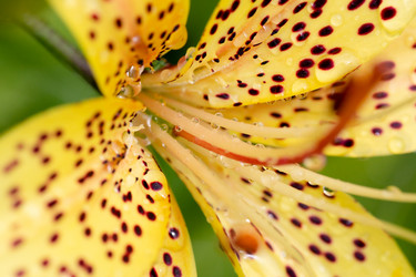 Similar image 21696335