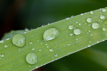 Similar image 21696336