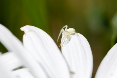 Similar image 21696339