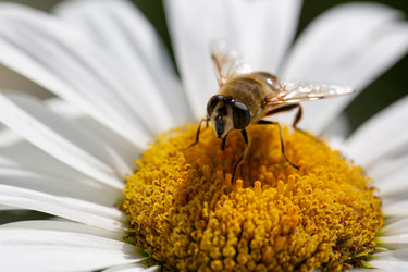 Similar image 21696342