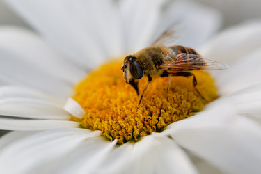 Similar image 21696343