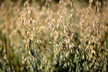 Similar image 21696344