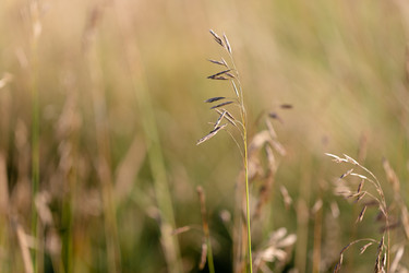 Similar image 21696345