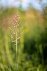 Similar image 21696346