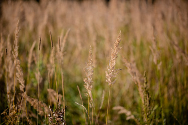 Similar image 21696348