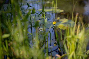 Similar image 21696349