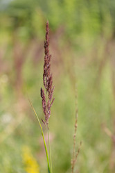 Similar image 21696350