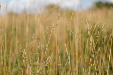 Similar image 21696351