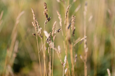 Similar image 21696352