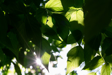 Similar image 21696353