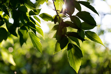 Similar image 21696354