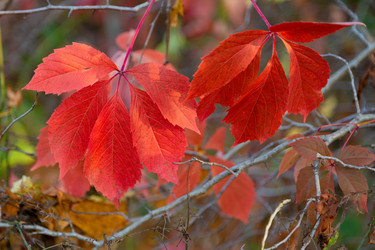 Similar image 21696355