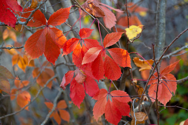 Similar image 21696356