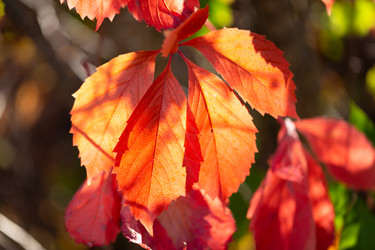 Similar image 21696357