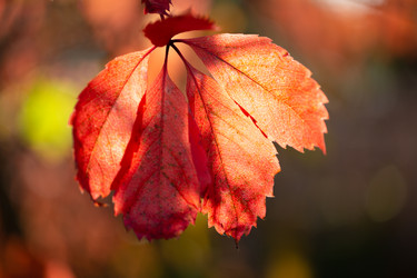 Similar image 21696358