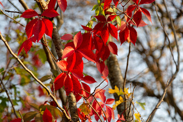 Similar image 21696359