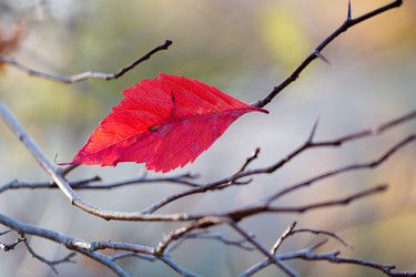 Similar image 21696360