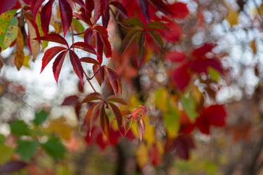 Similar image 21696361