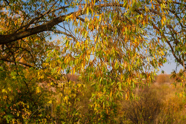 Similar image 21696362